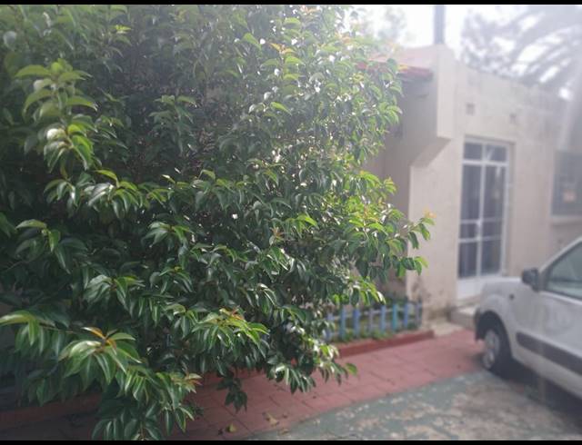 2 bed property to rent in ORMONDE